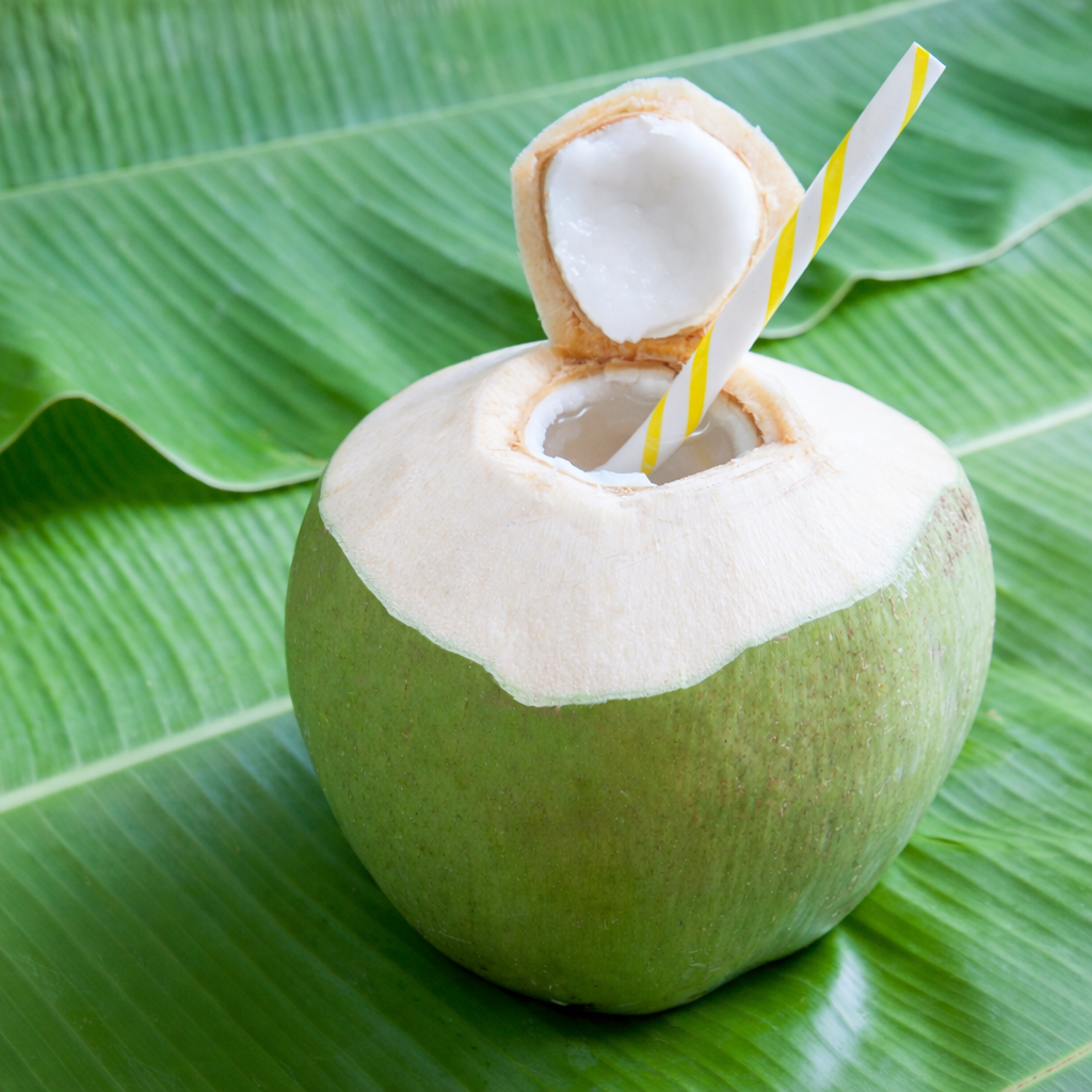 Pre-Order Whole Green Coconut | Farm-Fresh Delivery After July 20th | 100% Naturally Grown | Grown in Florida | Healthy Living - Image 2