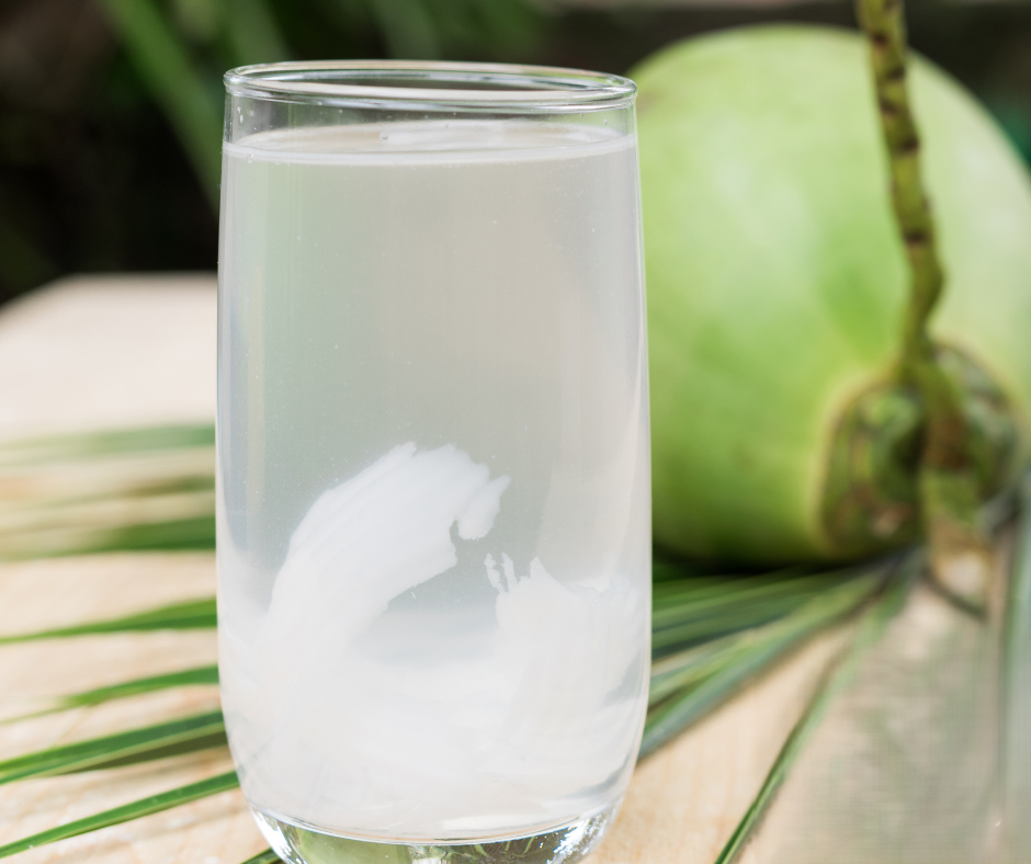 Pre-Order Whole Green Coconut | Farm-Fresh Delivery After July 20th | 100% Naturally Grown | Grown in Florida | Healthy Living - Image 4