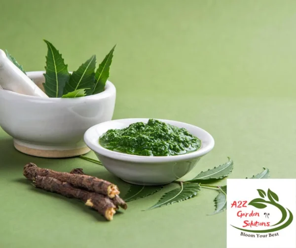 Neem Farm-Fresh Leaves | 100% Naturally Grown | Grown in Florida | Healthy Living - Image 3