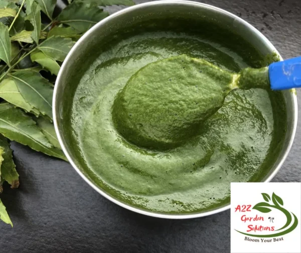 Neem Farm-Fresh Leaves | 100% Naturally Grown | Grown in Florida | Healthy Living - Image 6