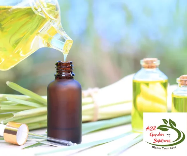 Lemongrass Farm-Fresh Leaves | 100% Naturally Grown | Grown in Florida | Healthy Living - Image 5