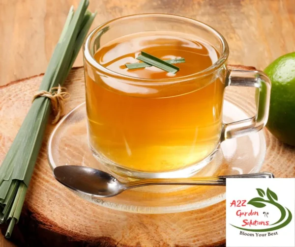 Lemongrass Farm-Fresh Leaves | 100% Naturally Grown | Grown in Florida | Healthy Living - Image 6