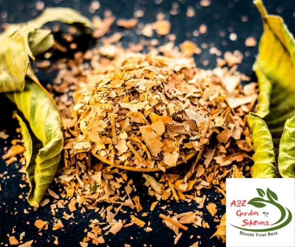 Guava Farm-Fresh Leaves | 100% Naturally Grown | Grown in Florida | Healthy Living - Image 5