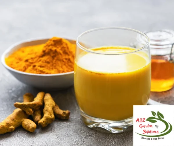 Fresh Turmeric Root | 100% Naturally Grown | Grown in Florida | Healthy Living - Image 5