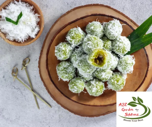 Pre-Order Whole Green Coconut | Farm-Fresh Delivery After July 20th | 100% Naturally Grown | Grown in Florida | Healthy Living - Image 7