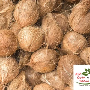 Dry Coconut Farm-Fresh | 100% Naturally Grown | Grown in Florida | Healthy Living