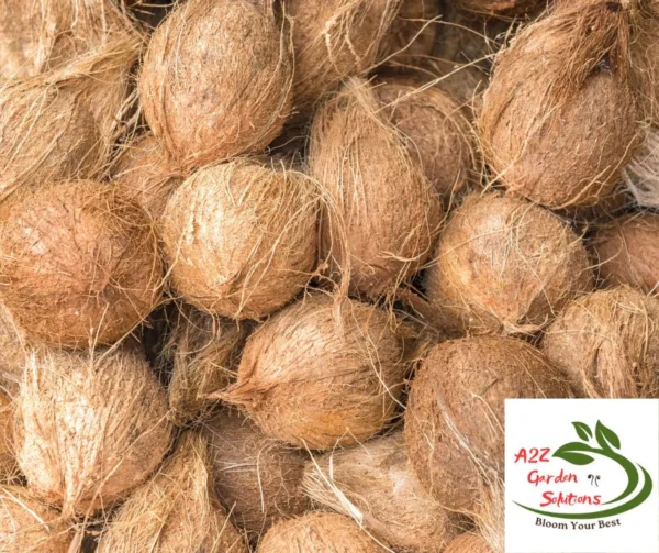Dry Coconut Farm-Fresh | 100% Naturally Grown | Grown in Florida | Healthy Living
