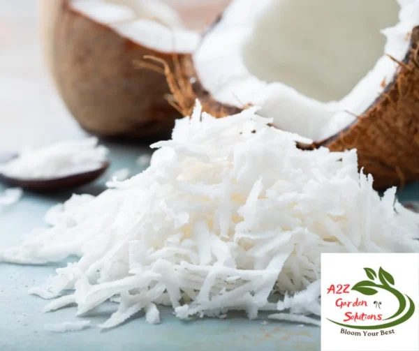 Dry Coconut Farm-Fresh | 100% Naturally Grown | Grown in Florida | Healthy Living - Image 3