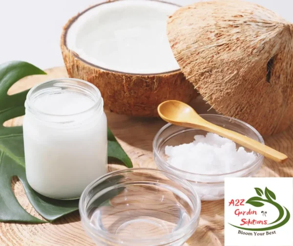 Dry Coconut Farm-Fresh | 100% Naturally Grown | Grown in Florida | Healthy Living - Image 2