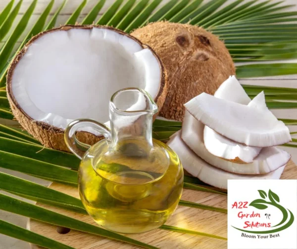 Dry Coconut Farm-Fresh | 100% Naturally Grown | Grown in Florida | Healthy Living - Image 4