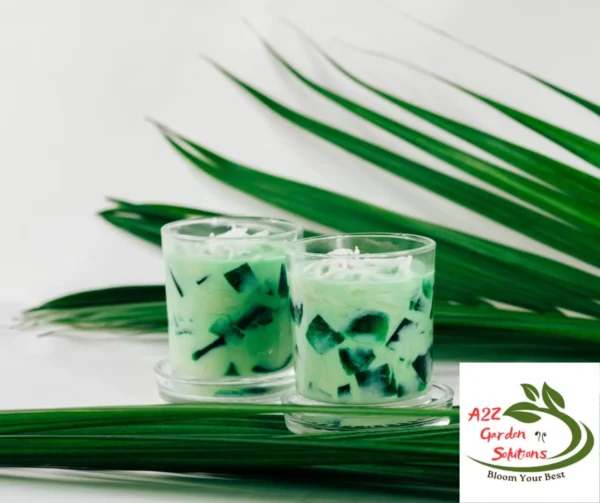 Lemongrass Farm-Fresh Leaves | 100% Naturally Grown | Grown in Florida | Healthy Living - Image 7