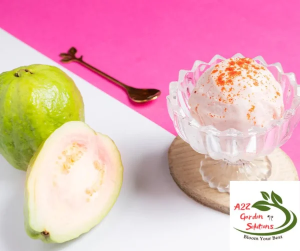 Guava Farm-Fresh Leaves | 100% Naturally Grown | Grown in Florida | Healthy Living - Image 8