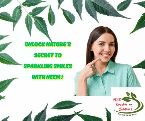 Neem Farm-Fresh Leaves | 100% Naturally Grown | Grown in Florida | Healthy Living - Image 7