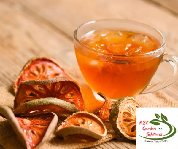 Bael | Bilva Patra | Aegle Marmelos Farm-Fresh Leaves | 100% Naturally Grown | Grown in Florida | Healthy Living - Image 2